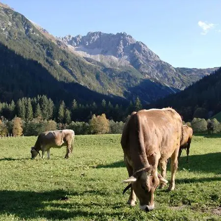 Walliser Stube Aparthotel Mittelberg