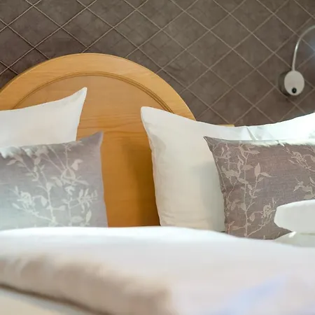 Walliser Stube Aparthotel *