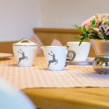 Aparthotel Walliser Stube Mittelberg